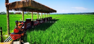 光東村鄉村田園軌道小火車