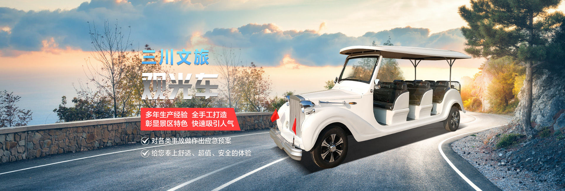 有軌中型火車